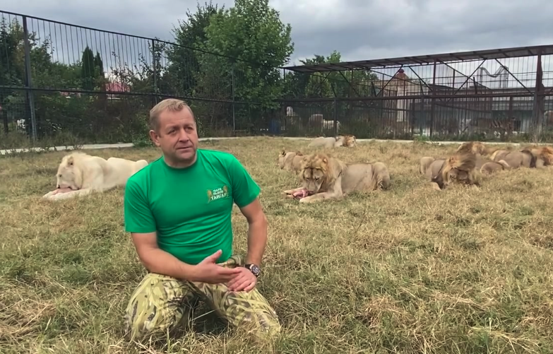 Директора крымского парка «Тайган» Зубкова осудили за нападение тигра на ребенка