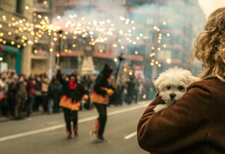 Кинолог Карапетьянц: «Новогодние развлекушки испугают собаку до сердечного приступа»