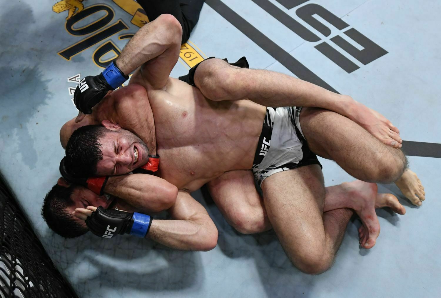 Ислам Махачев победил бразильца Тиаго Мойзеса на UFC Vegas 31