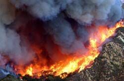 Калифорния: победа над пожарами близка, но они могут вернуться