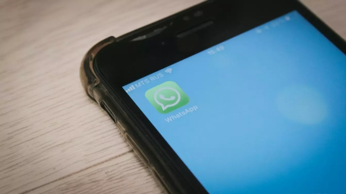Аккаунты Google и WhatsApp под угрозой: как спасти свой профиль, чтобы его не удалили