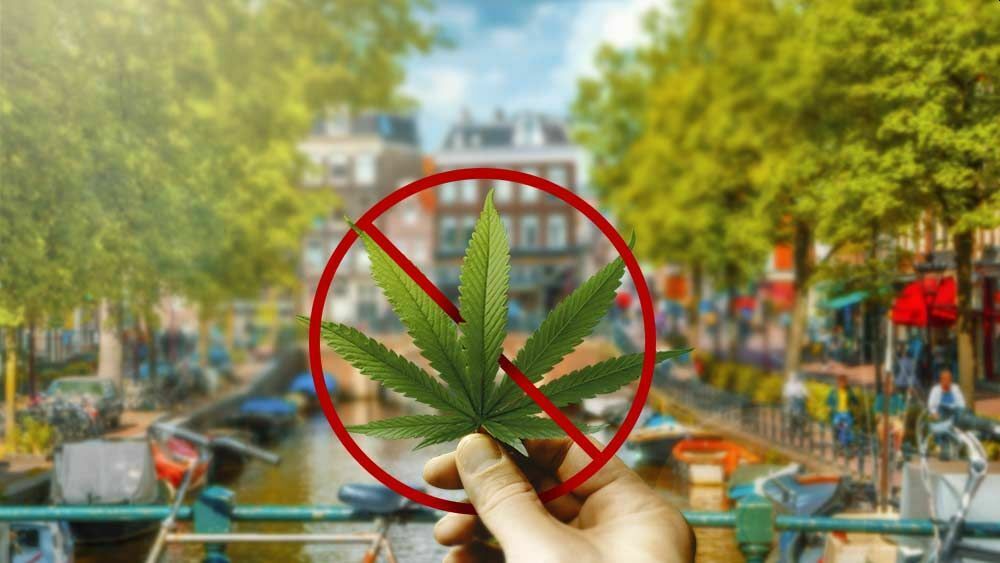 Иностранцам не будут продавать марихуану в амстердамских кофешопах