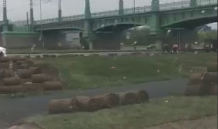 Рулонный газон в Питере убрали после открытия путепровода Бегловым и Белозеровым