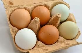 Расследование ФАС привело в Волгограде к снижению цен на яйца