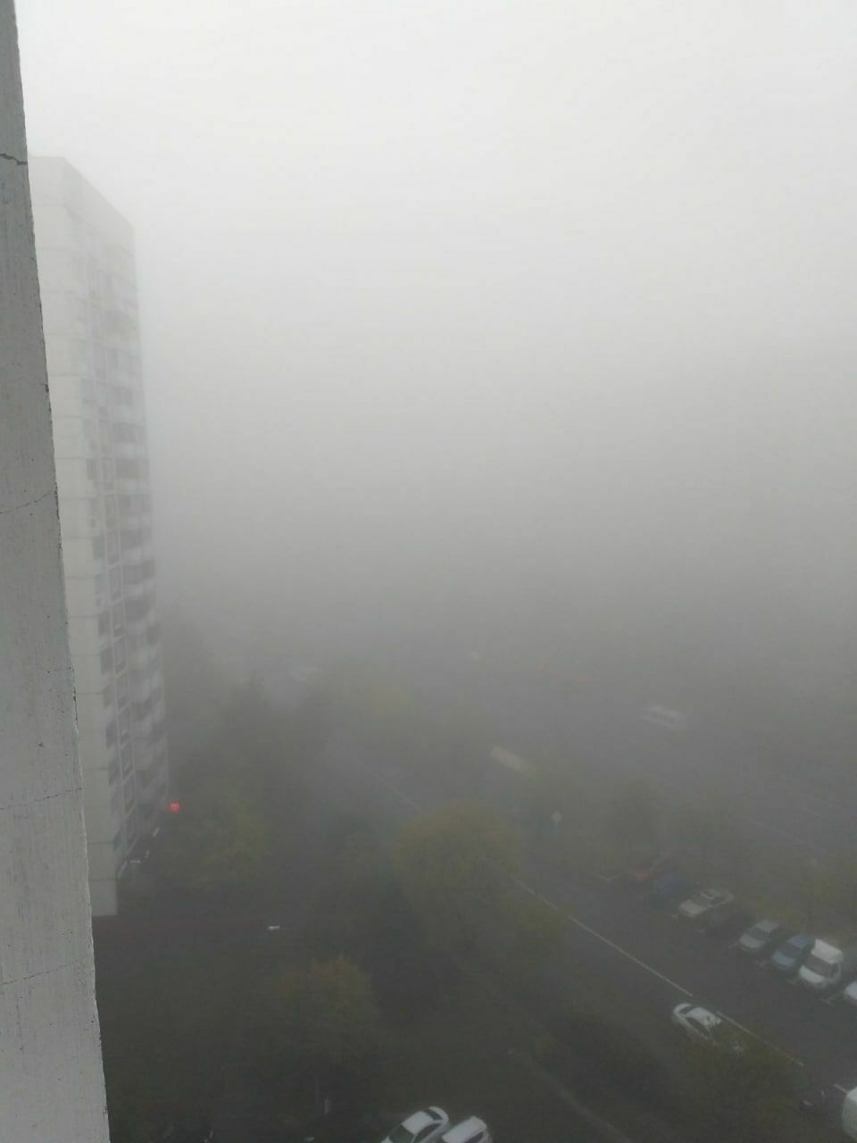 Москву окутал густой туман