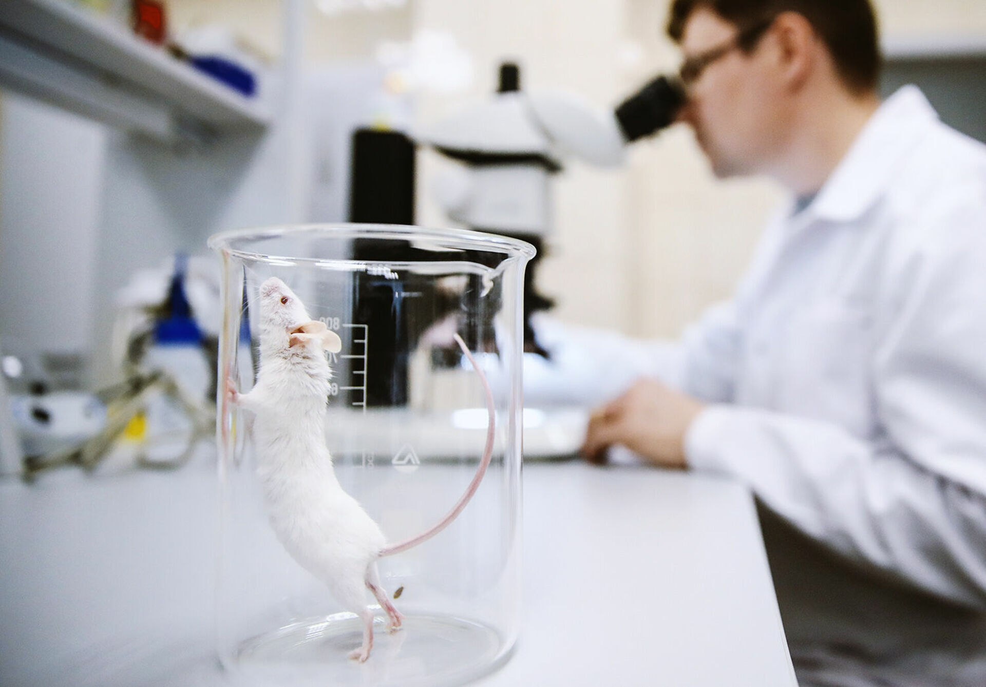 Animal lab. Исследования на животных. Лабораторные мыши. Опыты на мышах. Лабораторные исследования животных.