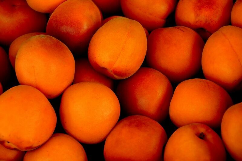Мясников: персики и абрикосы опасны аллергическими реакциями у детей