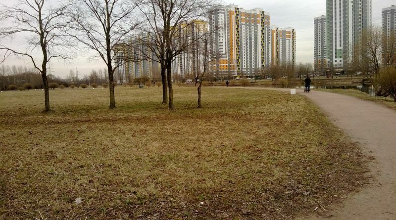 Петербуржцам не удалось отвоевать парк: власти отдали его под ТРК