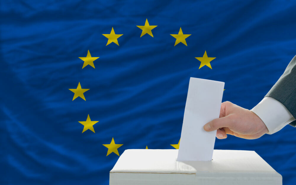 Европарламент: почему 20 млн избирателей проголосовали за «зелёных»