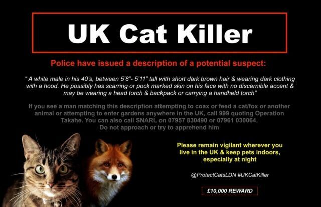 Уже 350 животных убил маньяк в Лондоне