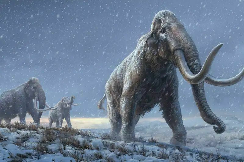 Зубы мамонтов из Сибири установили рекорд по древности ДНК