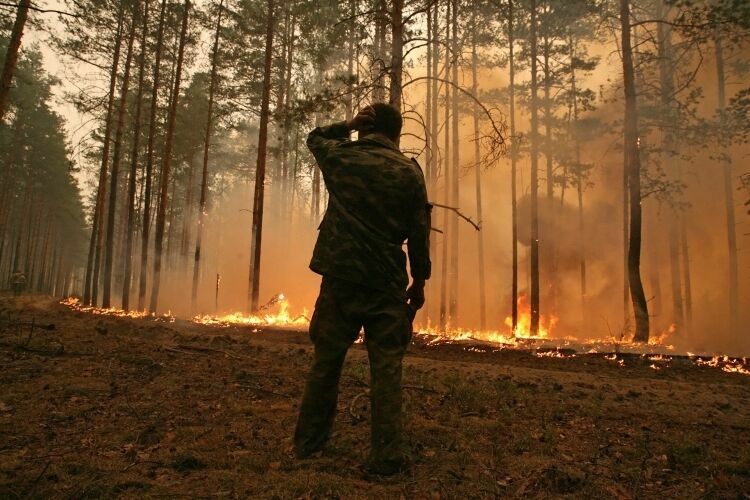 Гринпис: некоторые лесные пожары уже не потушить