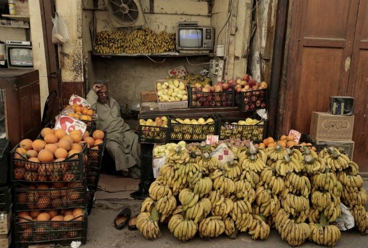 Россия запретила поставки овощей и фруктов из Египта