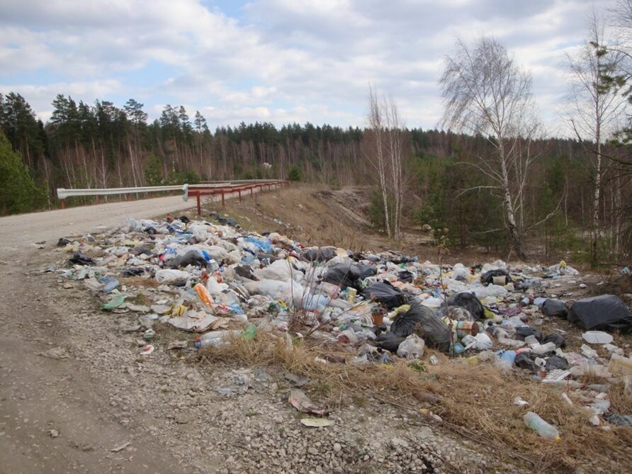Тамбовская область: уезжаешь с дачи - бросай мусор?