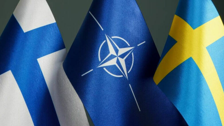 Турция не стала вести переговоры с Финляндией и Швецией по их вступлению в НАТО