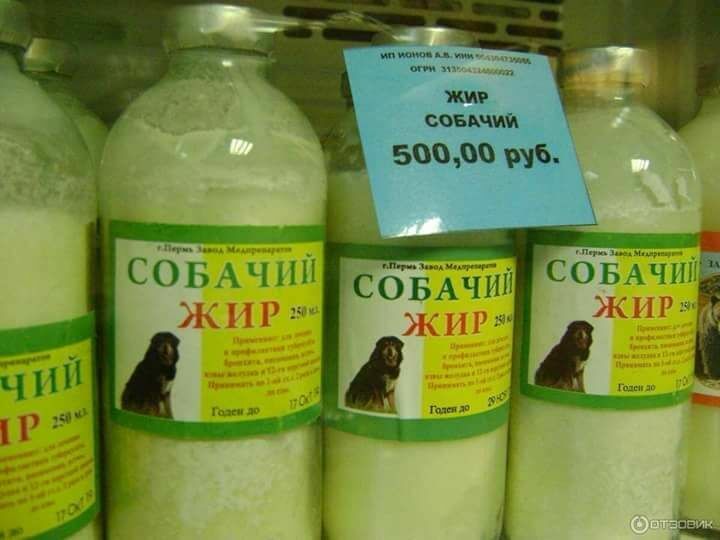"Лекарство" из Тузика: попы в России торгуют собачьим жиром