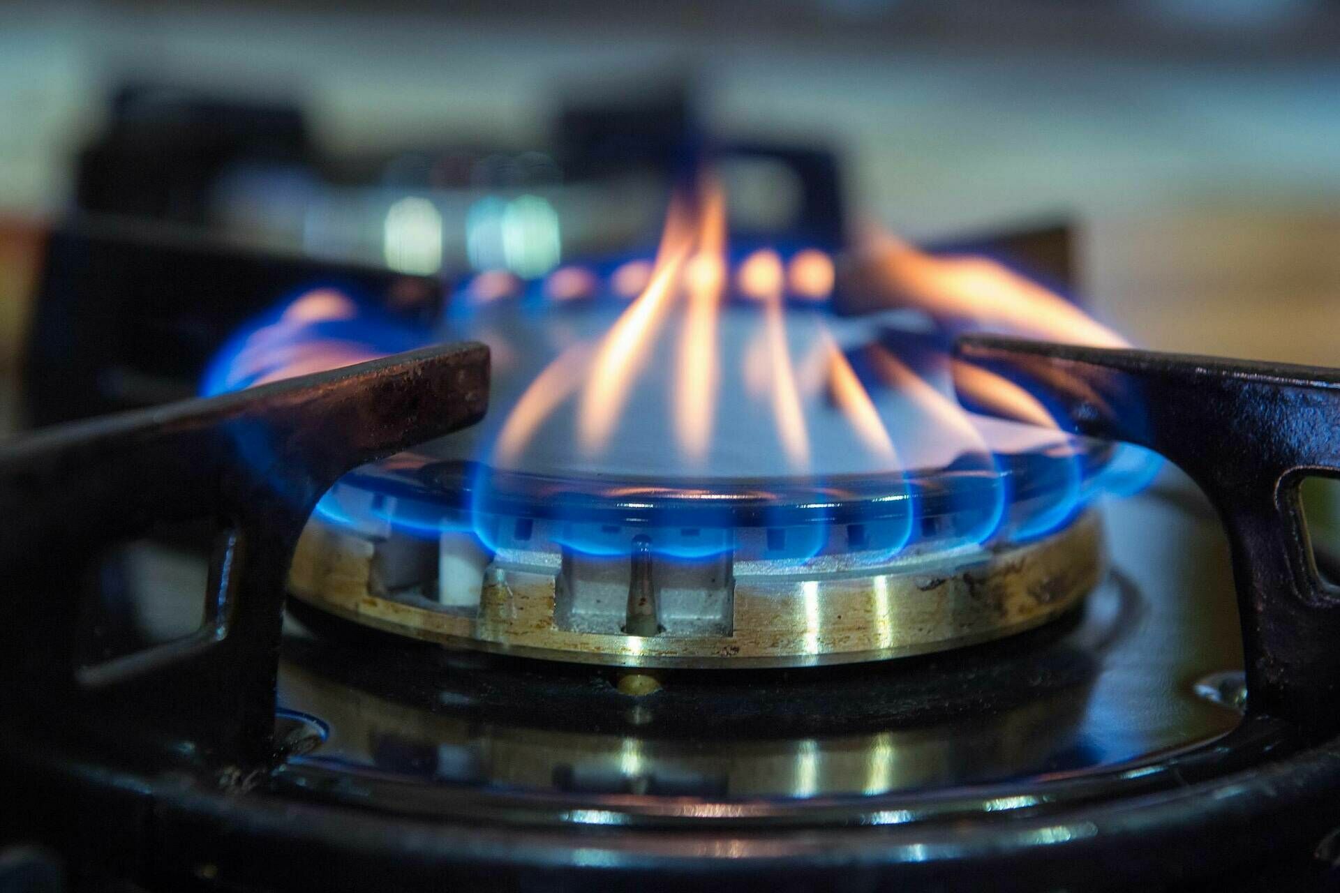 ФАС предложила не повышать цены на газ для населения