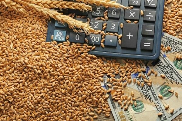 Минсельхоз добивается отмены экспортной пошлины на пшеницу