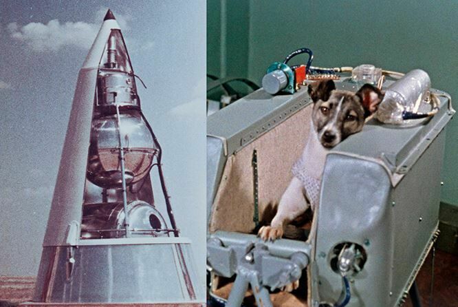 Самый Первый космонавт: 63 года назад собака Лайка отправилась в космос. И погибла...