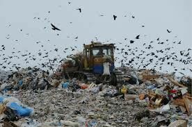 Росприроднадзор:  мусорный полигон "Малинки" не имеет права принимать отходы