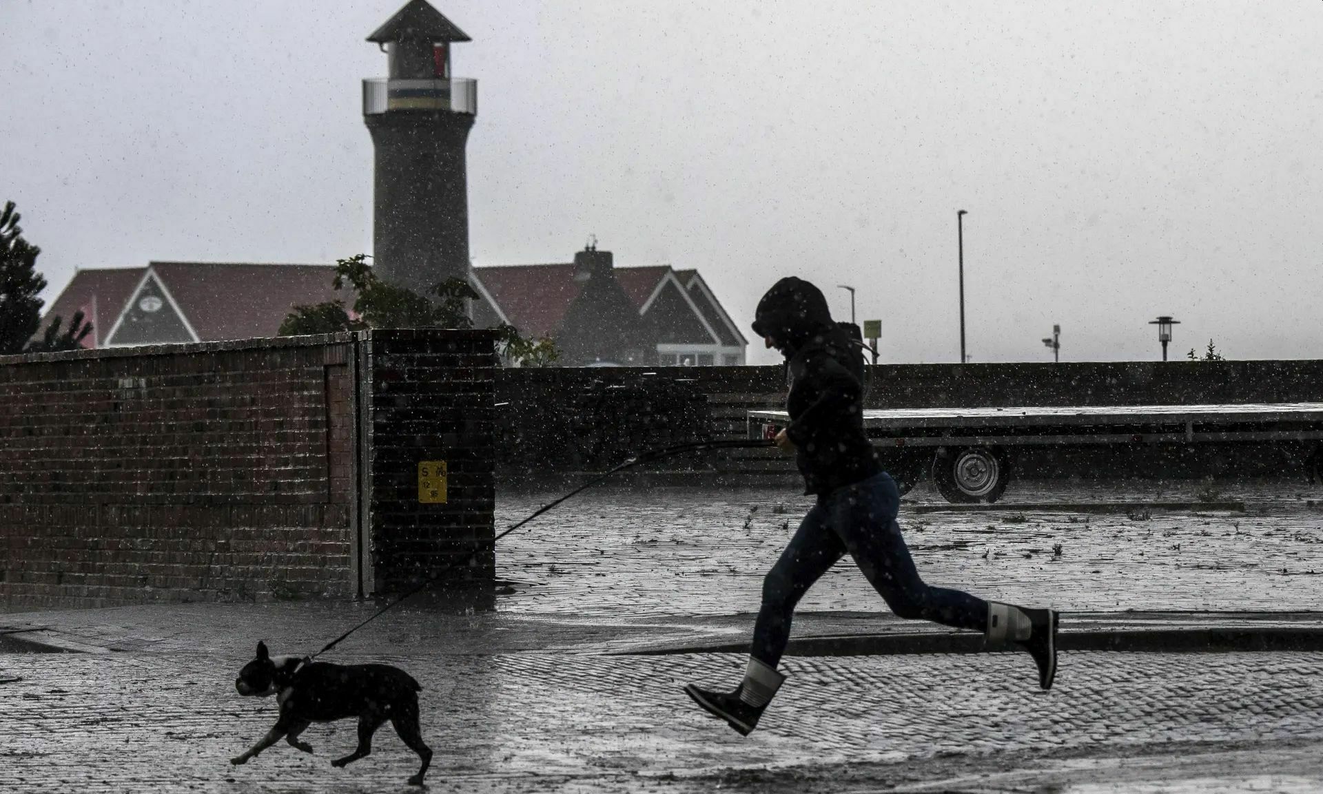 Новый закон обяжет немцев выгуливать своих собак дважды в день по одному часу