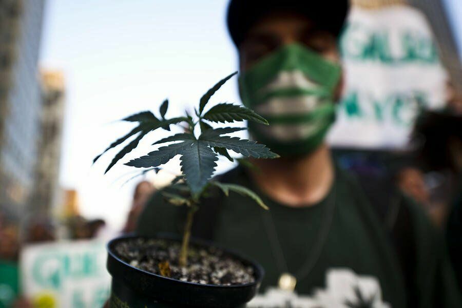 В Канаде легализовали употребление марихуаны