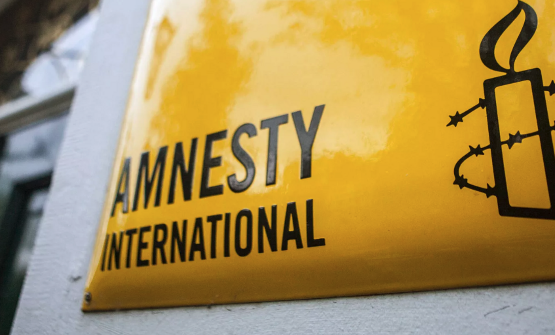 Амнистия организация. Организация Amnesty International. Международная амнистия. Правозащитная организация Международная амнистия. Amnesty International эмблема.