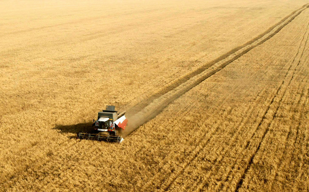 Отмена Турцией ограничений на пшеницу последнее слово оставляет за Россией