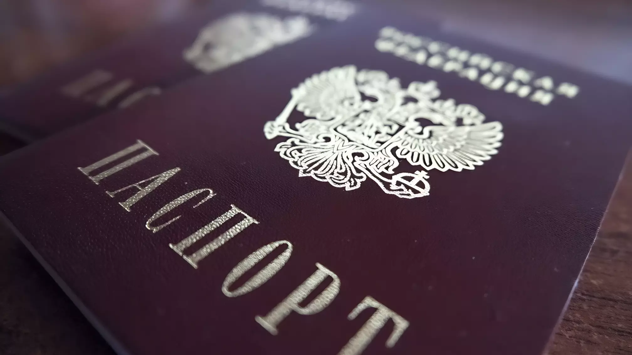 При въезде в Грузию у россиян стали проверять внутренний паспорт