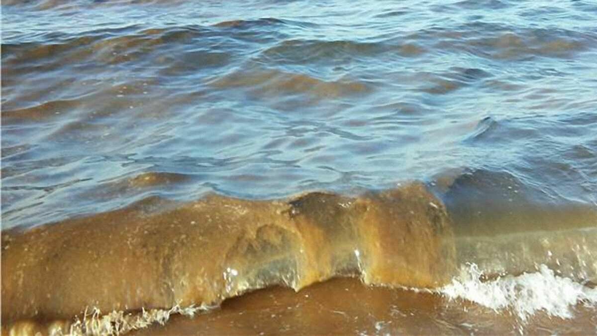 Эксперт: Черное море в Краснодарском крае очистится от грязи за три дня