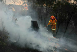 Виновниками крупнейшего за полвека пожара в лесах Австралии стали военные