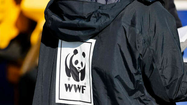 Российские экологи требуют признать Greenpeace и WWF иноагентами