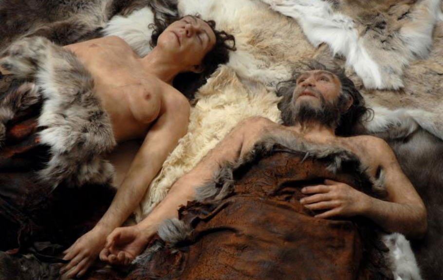 Неандертальцев погубила не война, а секс, гласит новая гипотеза палеонтологов