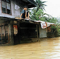 На Филиппинах разбушевался тайфун