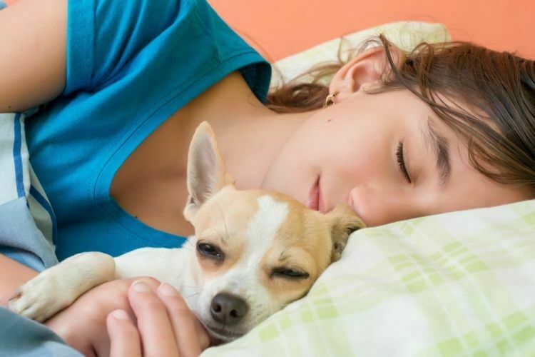 Сомнологи: подросток высыпается лучше, когда спит с домашним животным