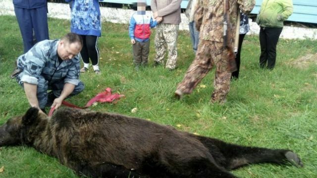 В Амурской области устроили фотосессию с медведем, убитым возле школы