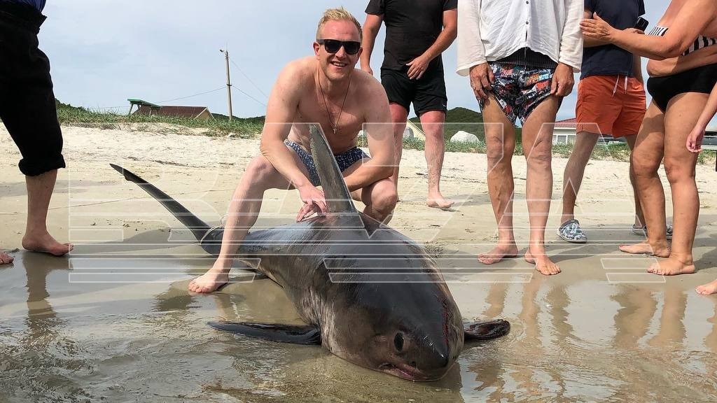 Туристы в Приморье изловили сельдевую акулу