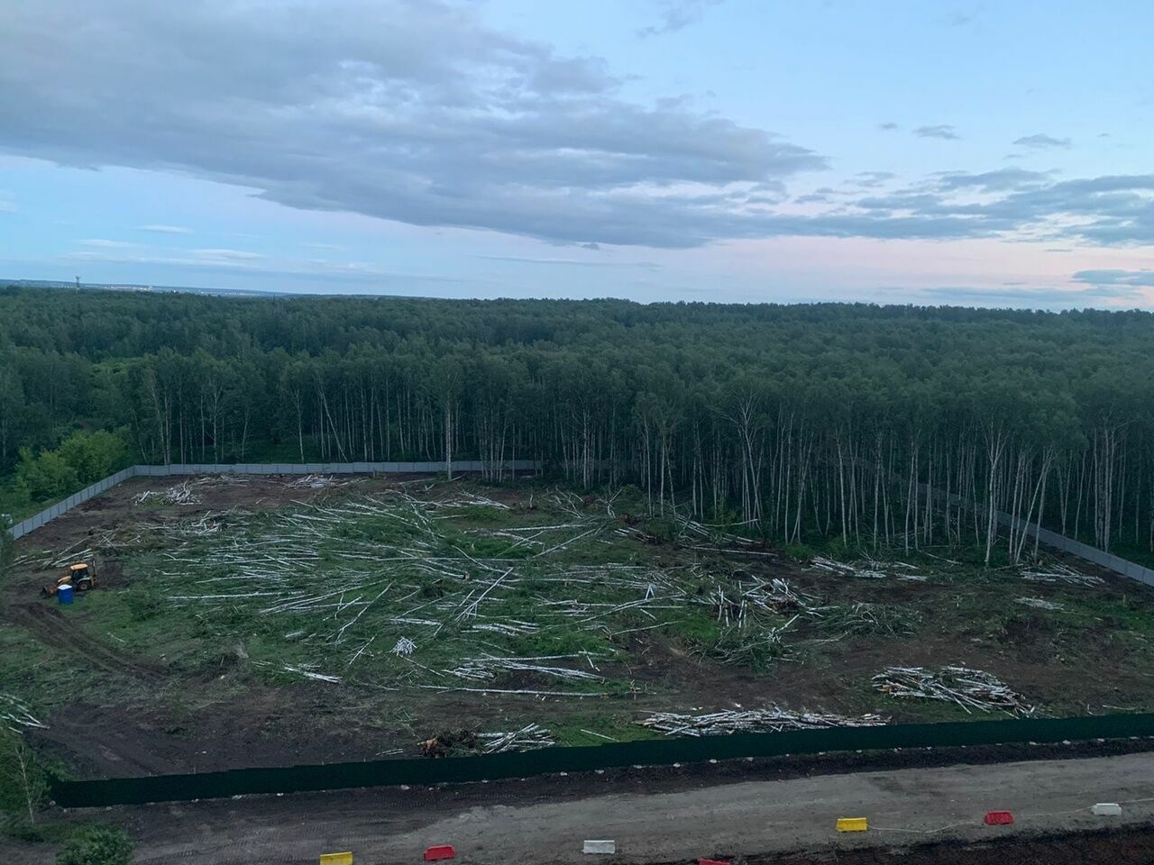 В Челябинске вырубают лес ради спортивного кластера. Жители против.