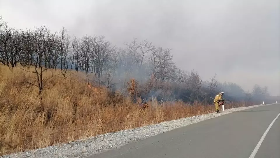 В Хасанском округе приморским пожарным удалось предотвратить переход пожара на населенные пункты.