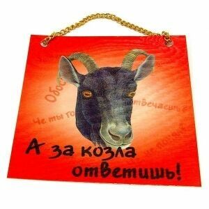 В Карелии кандидат в депутаты ГД требует миллион за «козла»