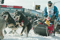 На Аляске начались собачьи гонки