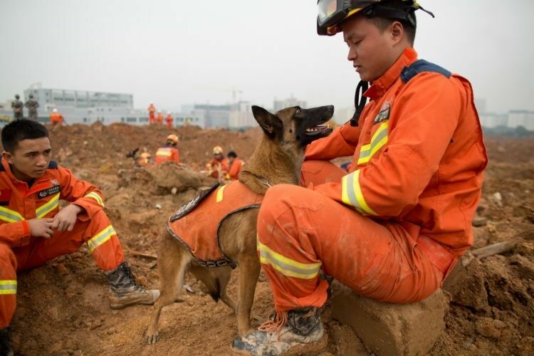 На месте схода оползня в Китае найден выживший – он провел под завалами почти 70 часов