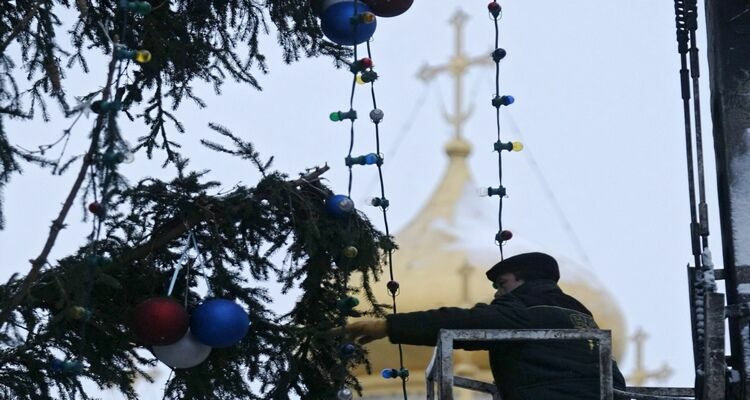 Главную елку России доставят в столицу из Рузского района Подмосковья