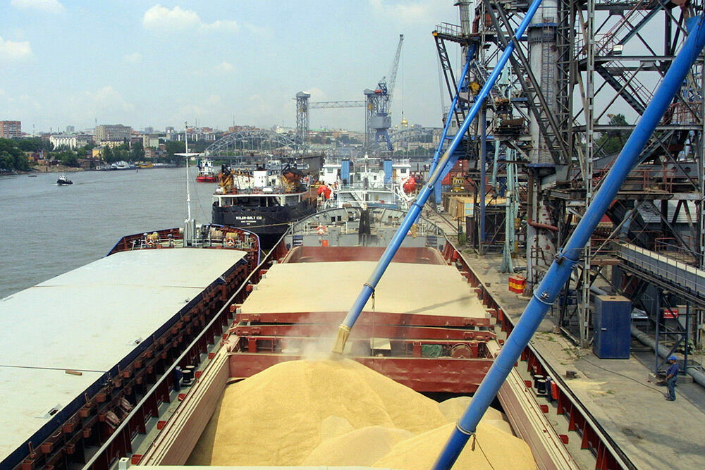 Экспорт зерна из России идёт рекордными темпами