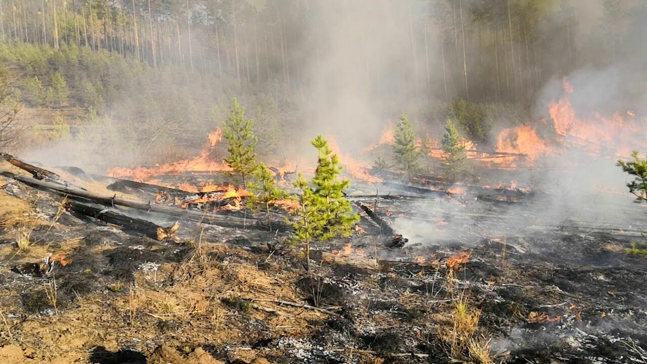 В Сибири опять горят леса