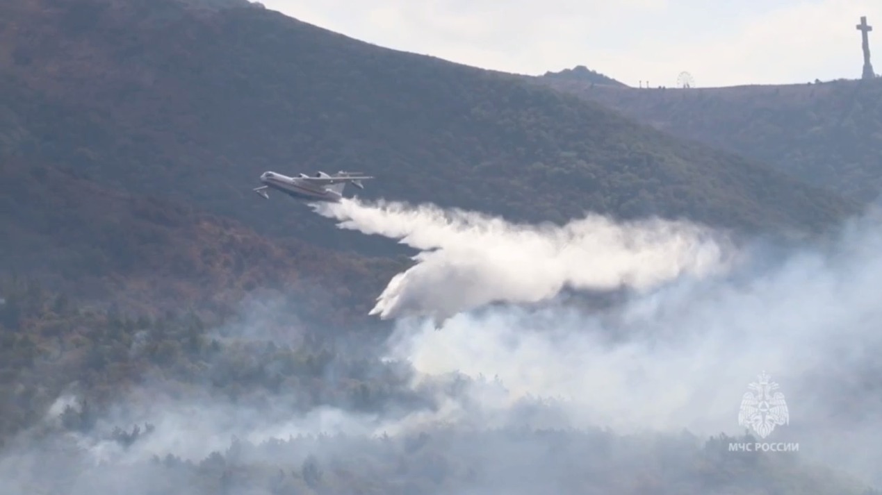 В Геленджике локализовали крупный лесной пожар (ВИДЕО)
