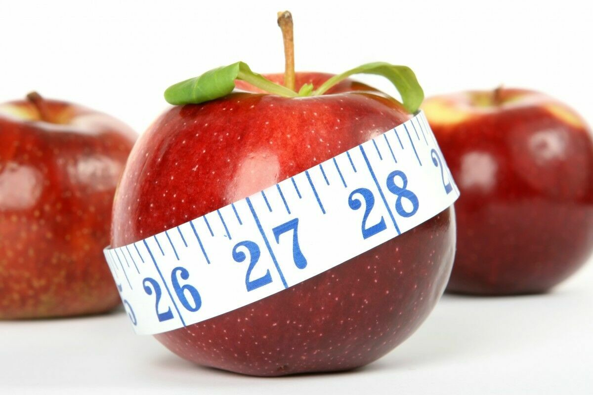 Ученые института Говарда Хьюза выявили пользу ограничения калорий