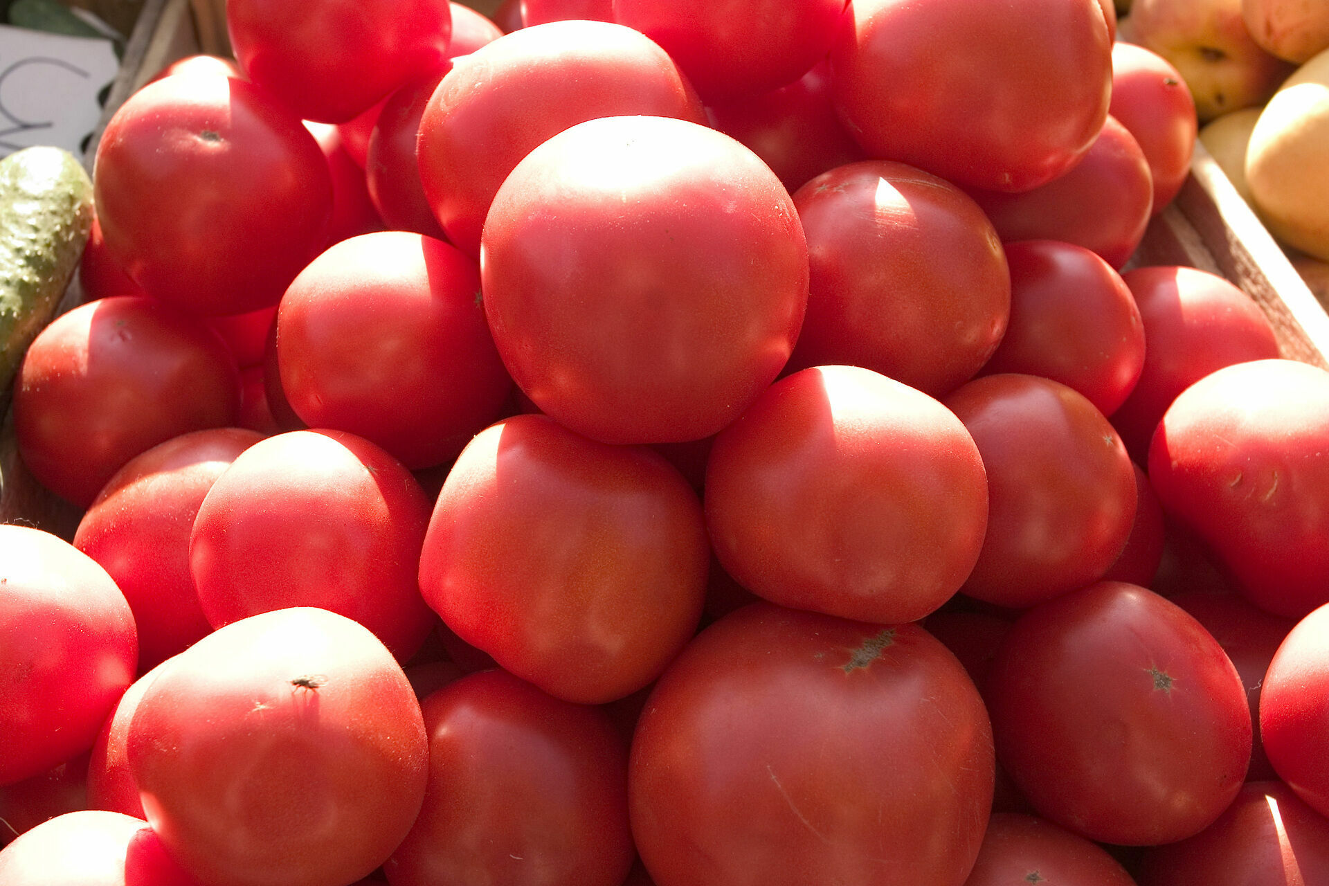 В Россию смогут поставлять томаты с трёх турецких предприятий