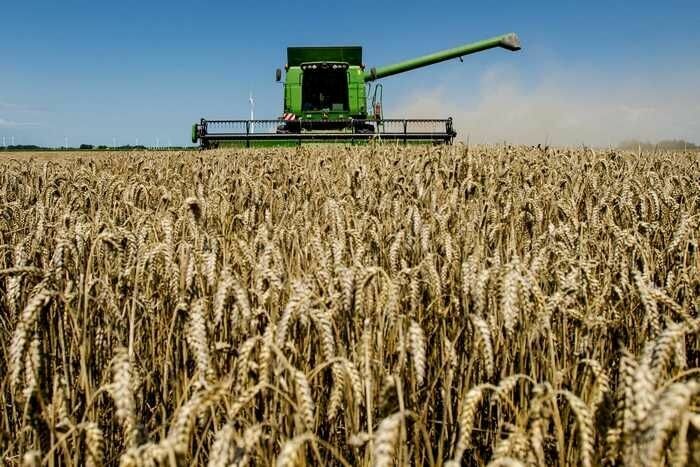 Россия обгоняет Евросоюз по экспорту пшеницы