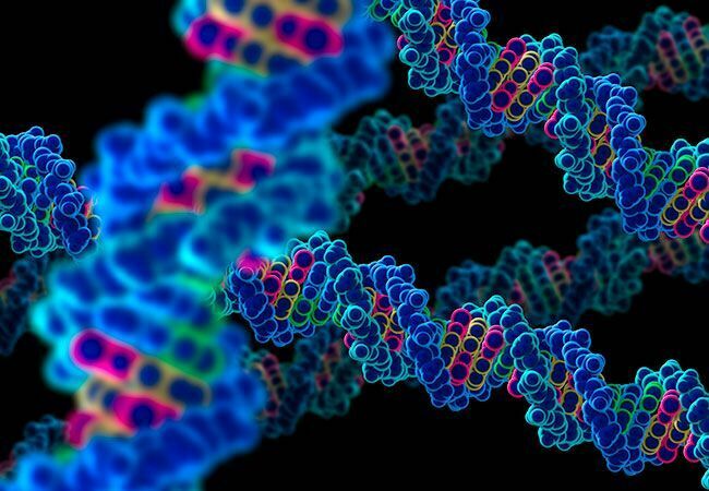 Генетики обнаружили мутацию, сделавшую людей восприимчивыми к раку